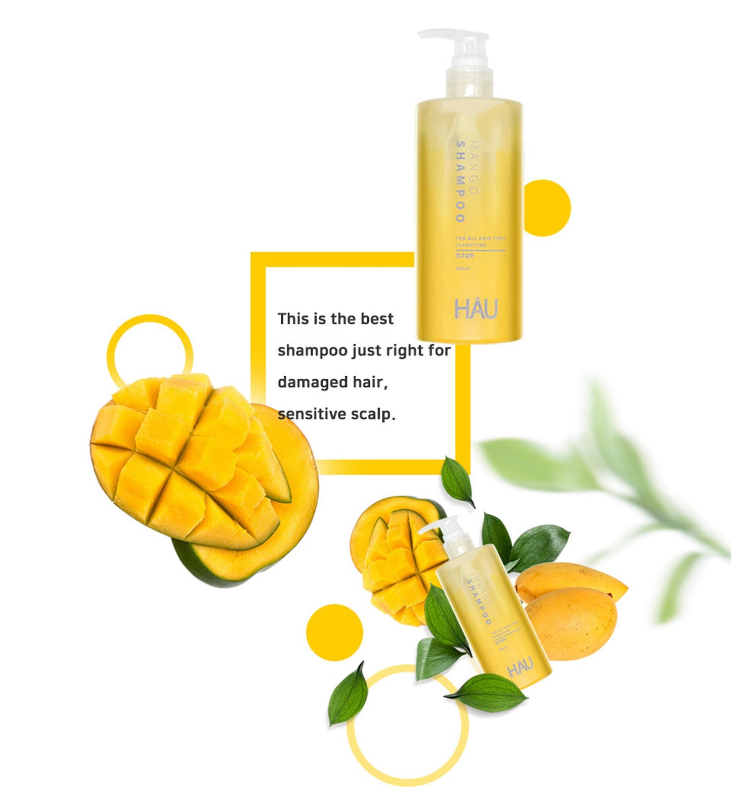 Professional Mango Shampoo for Dry Damaged Hair